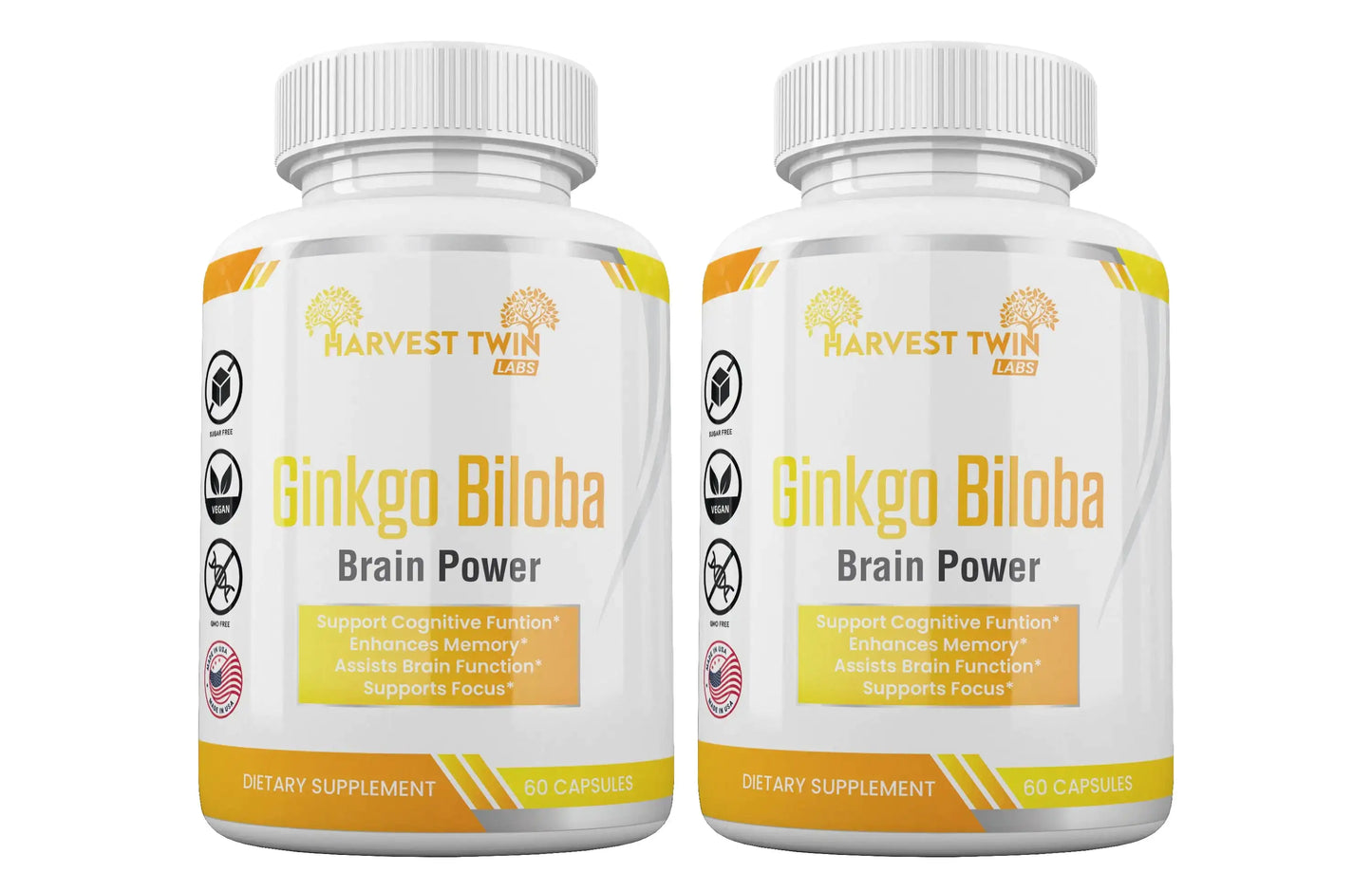 Ginkgo Biloba